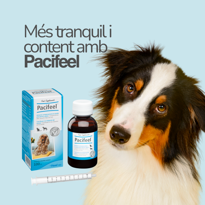 Pacifeel - Aliment complementari en Xarop - 100ml