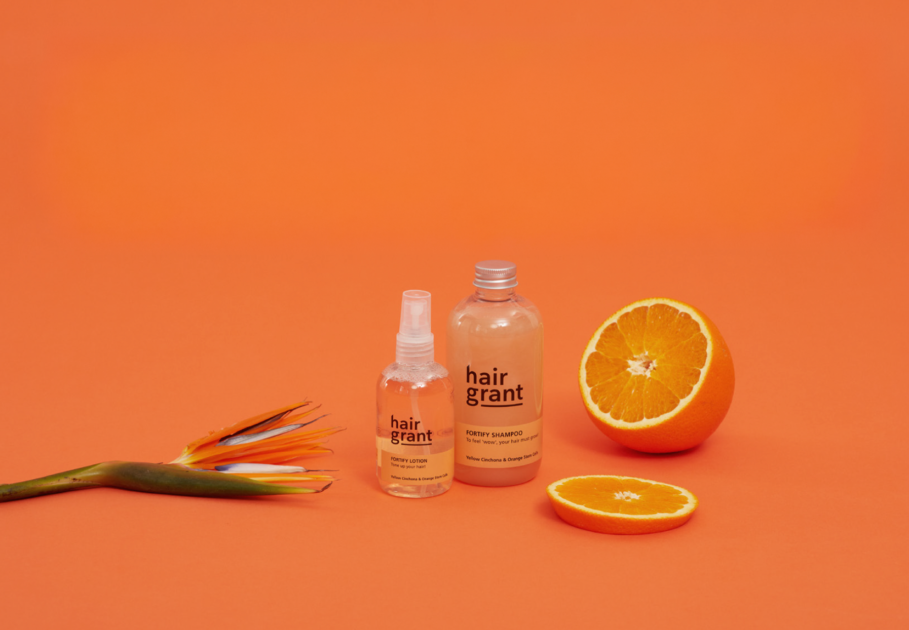 Fortify Shampoo - 500 ml